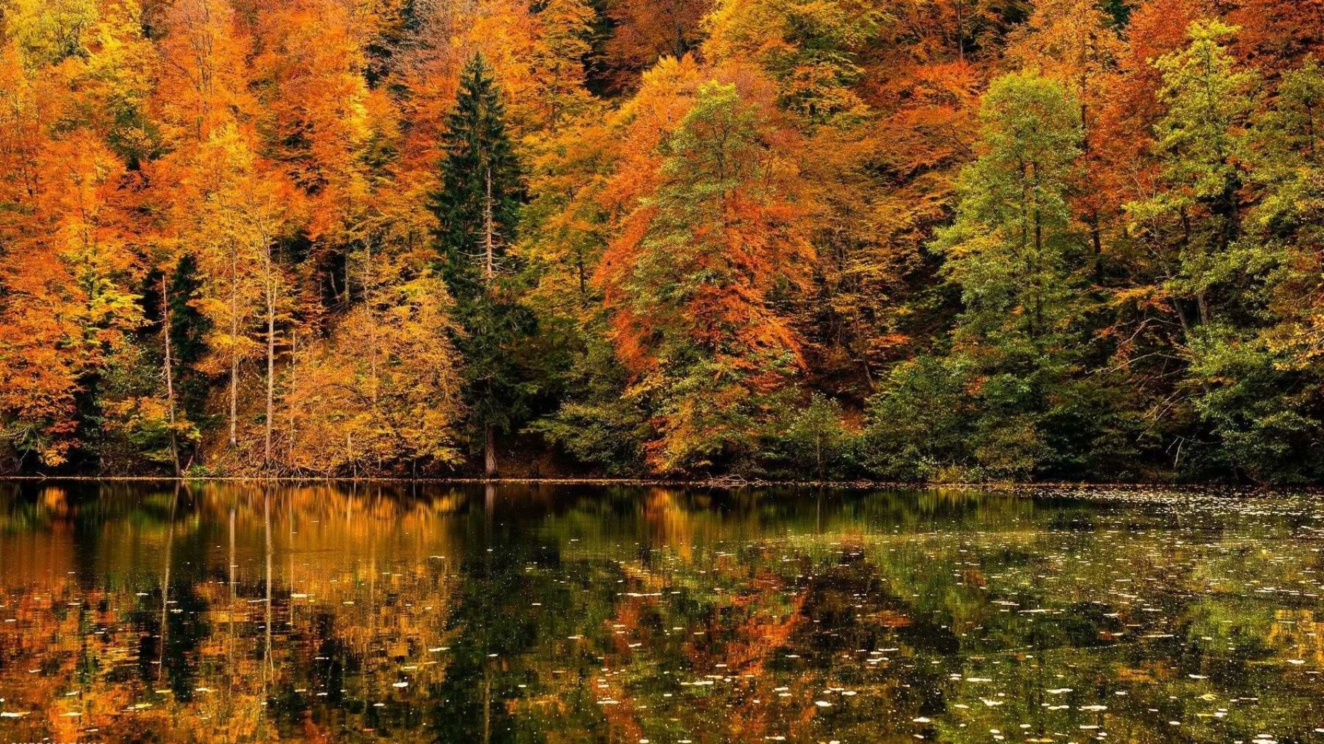 ბატეთის ტბის ხედი შემოდგომაზე