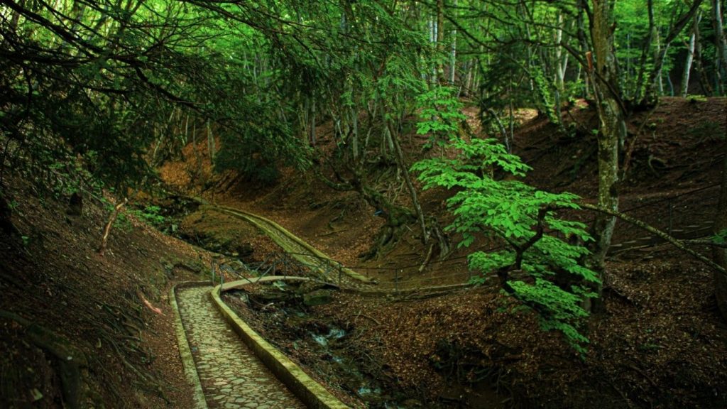 მონასტერი