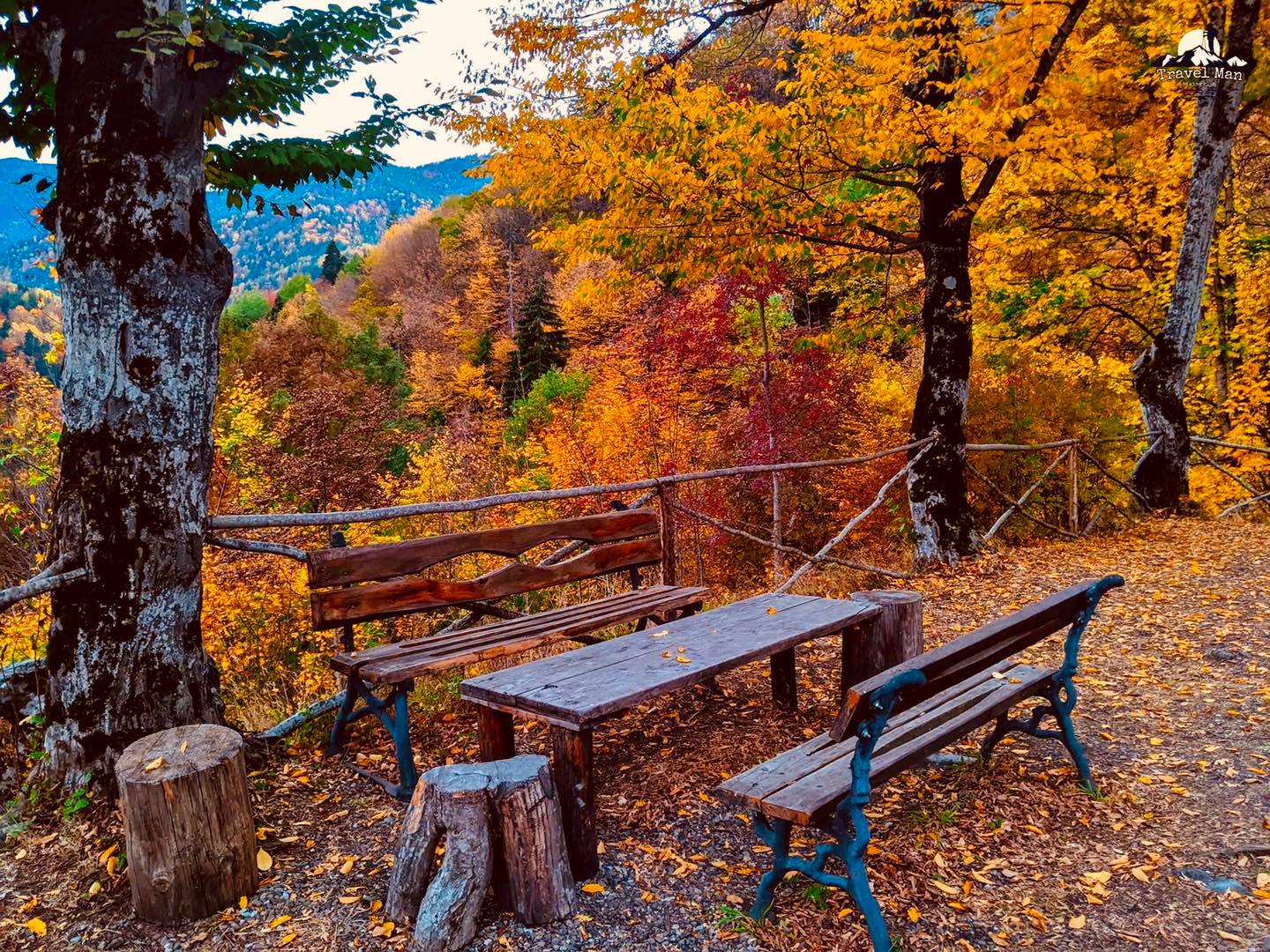 თავის ქალები