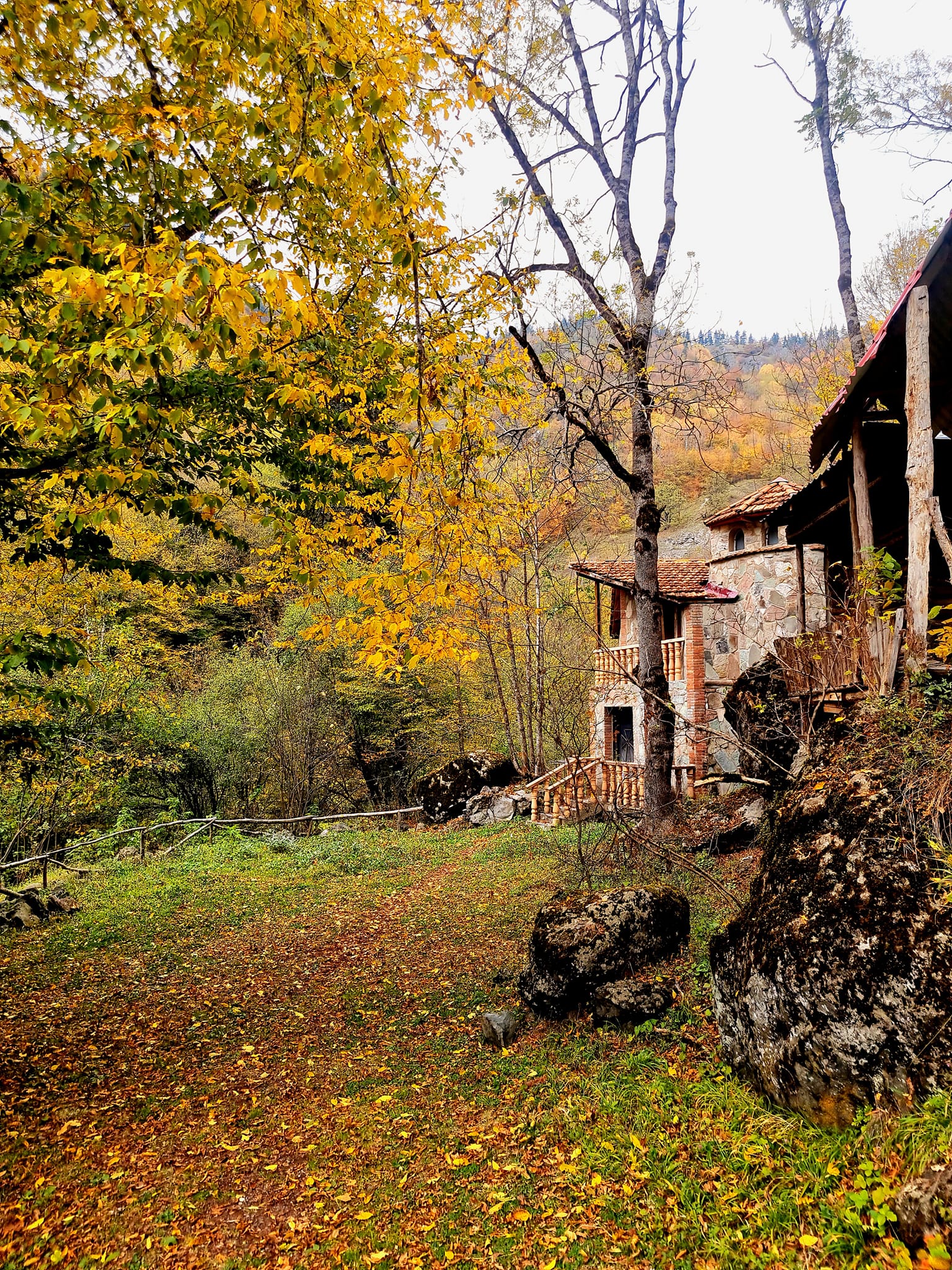 ქოზიფის ტყე